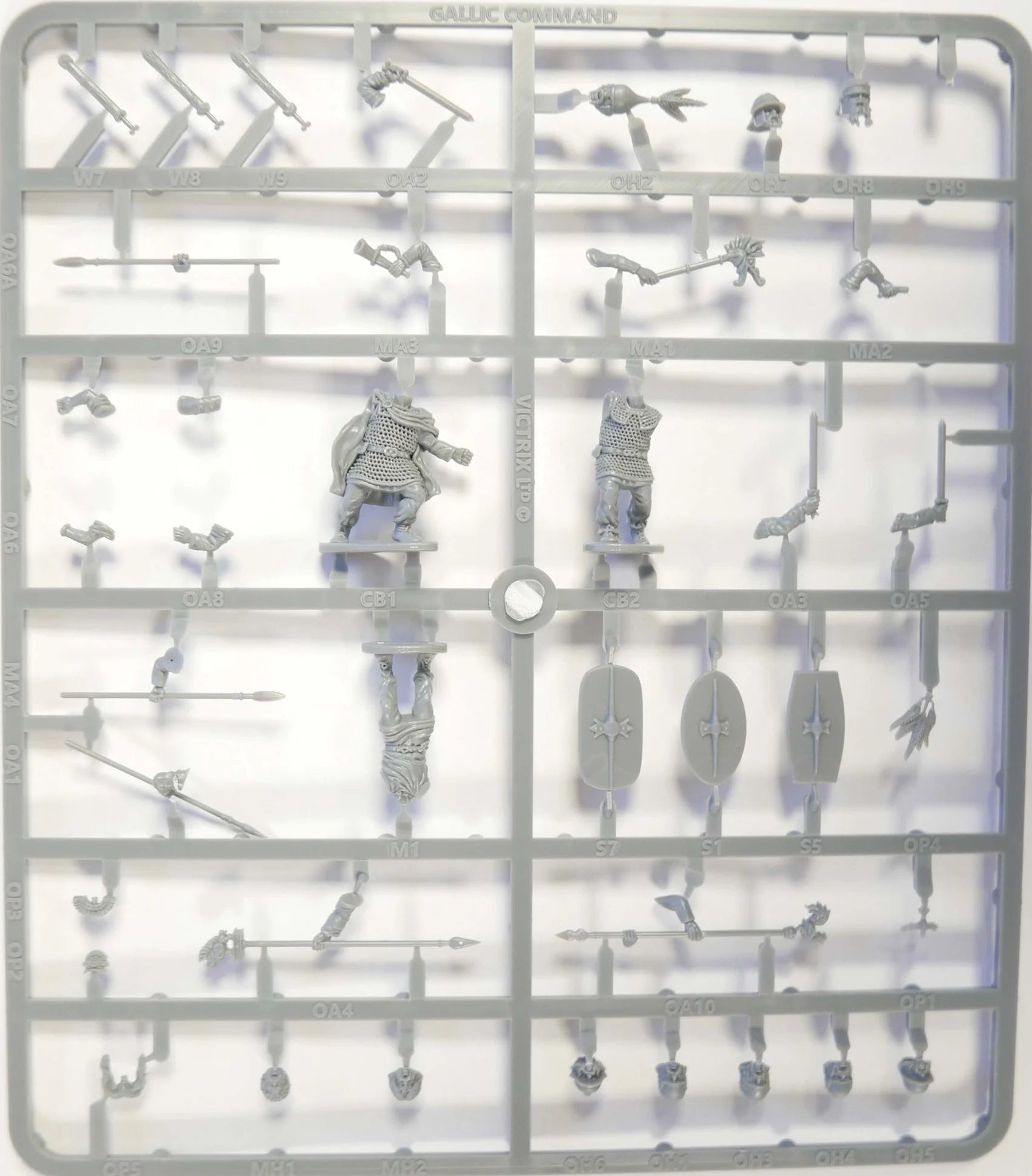 Gallic Armoured Warriors Command Sprue VXA036C