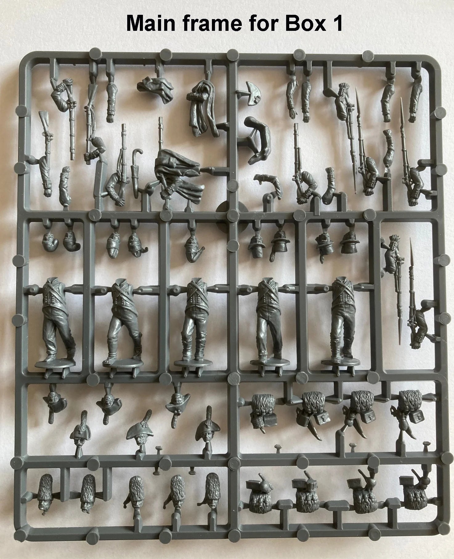 Spanish Napoleonic Infantry (1) 1808-11