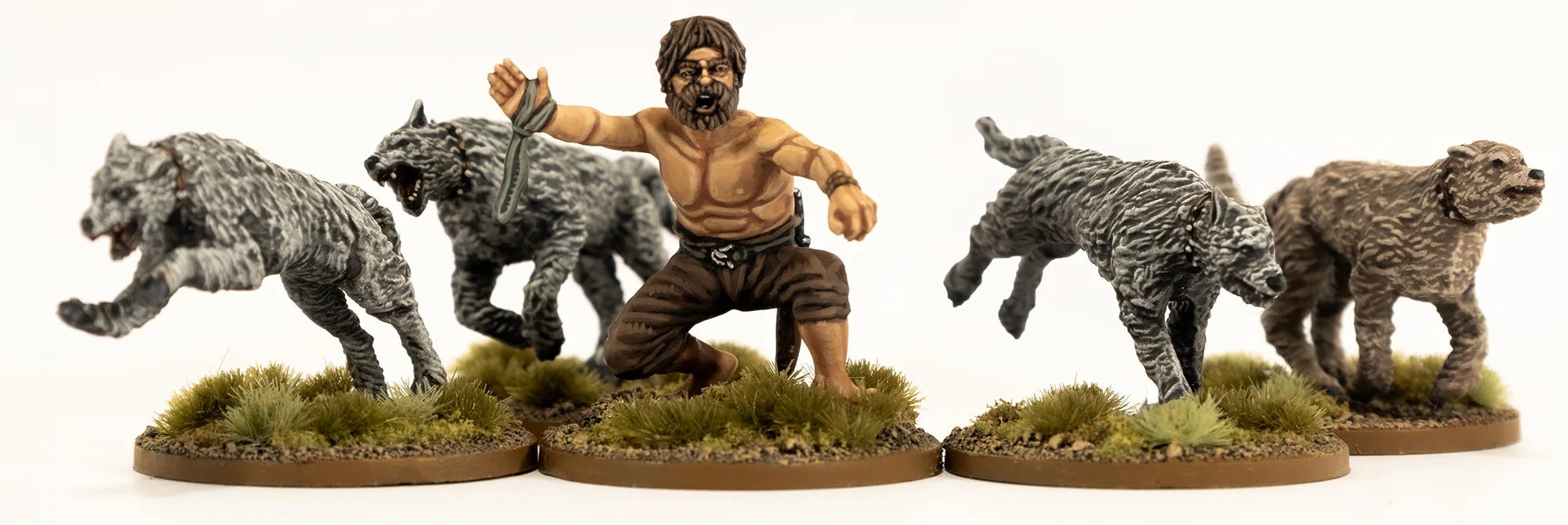 Dark Age Irish Command & Dog Sprue VXDA021C