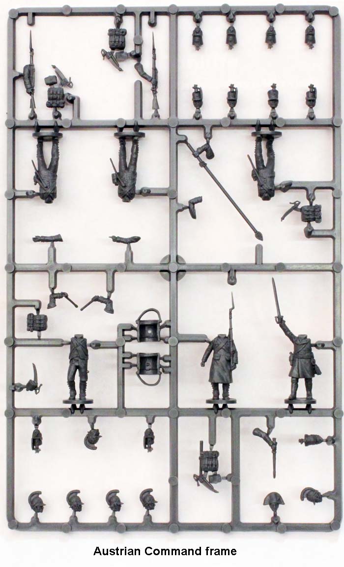 Austrian Napoleonic Infantry