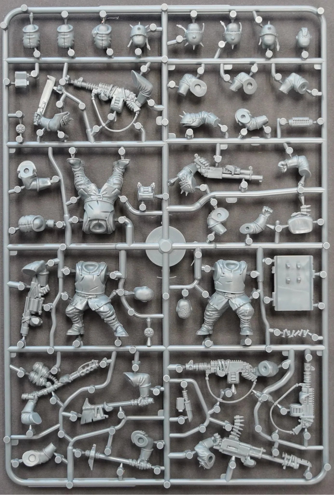 The Damned Brutes WAADF016