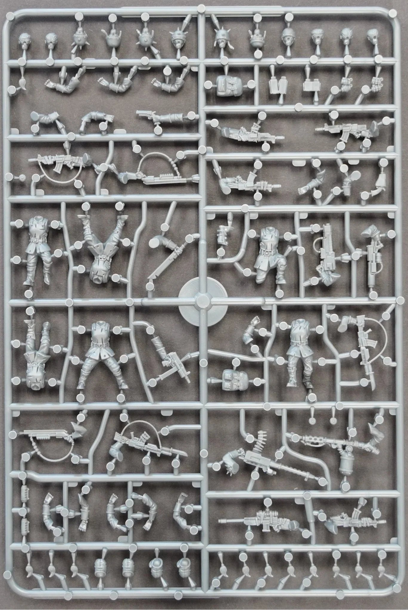 The Damned Female Infantry WAADF020