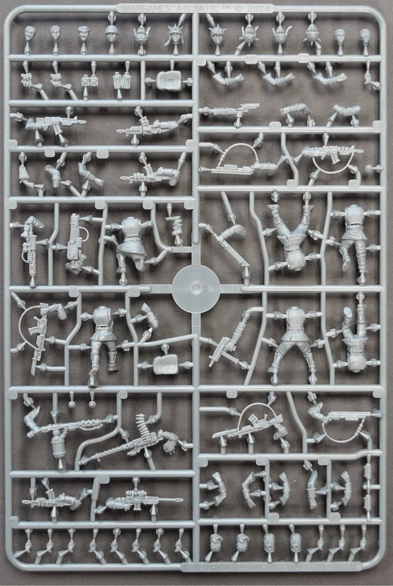 The Damned Female Infantry WAADF020