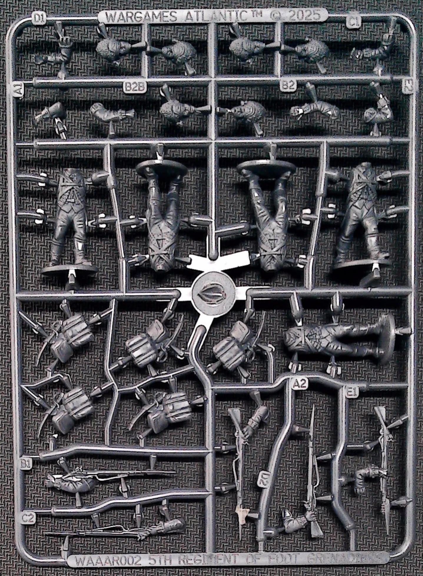 5th Regiment of Foot Grenadiers WAAAR002
