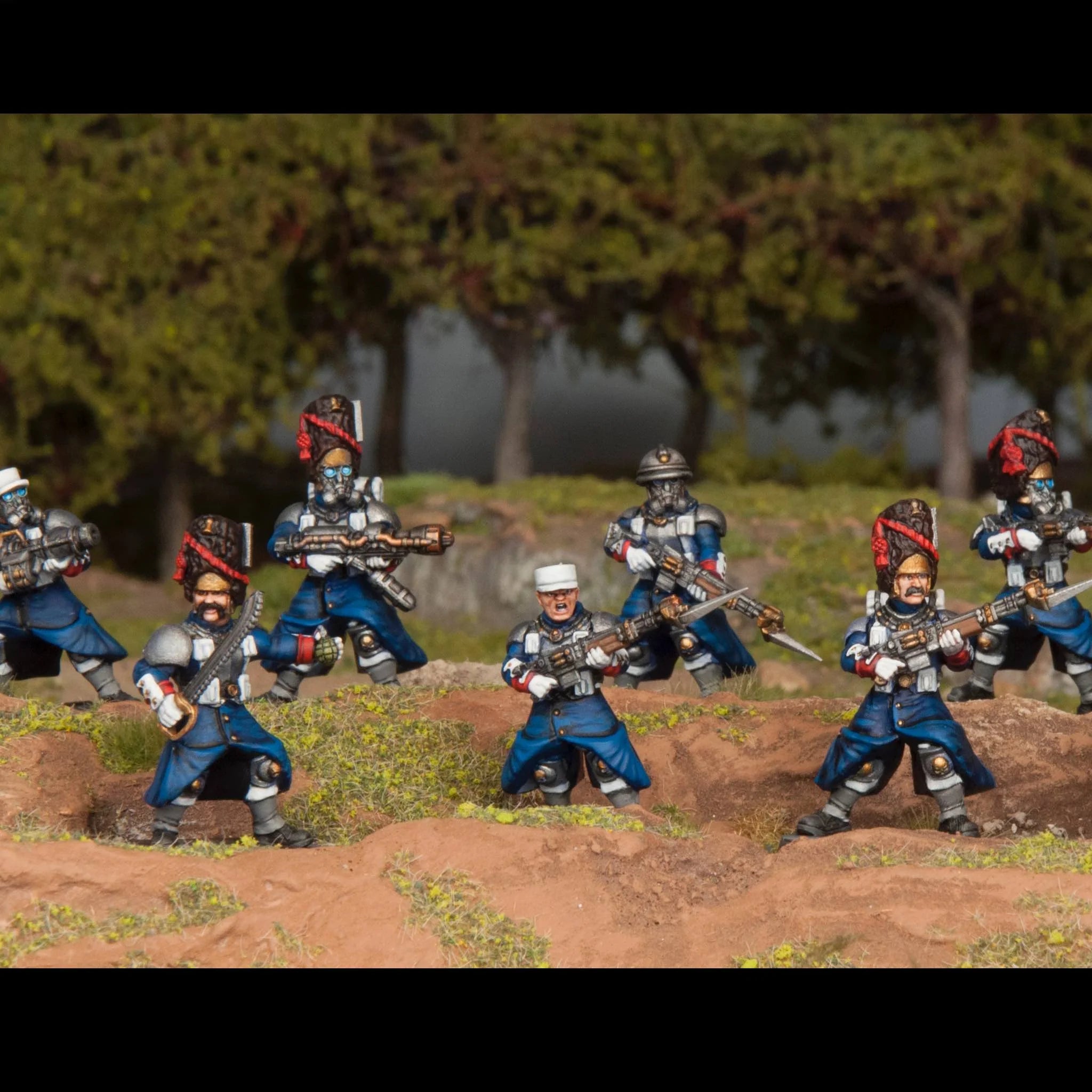 Les Grognards WAADF002