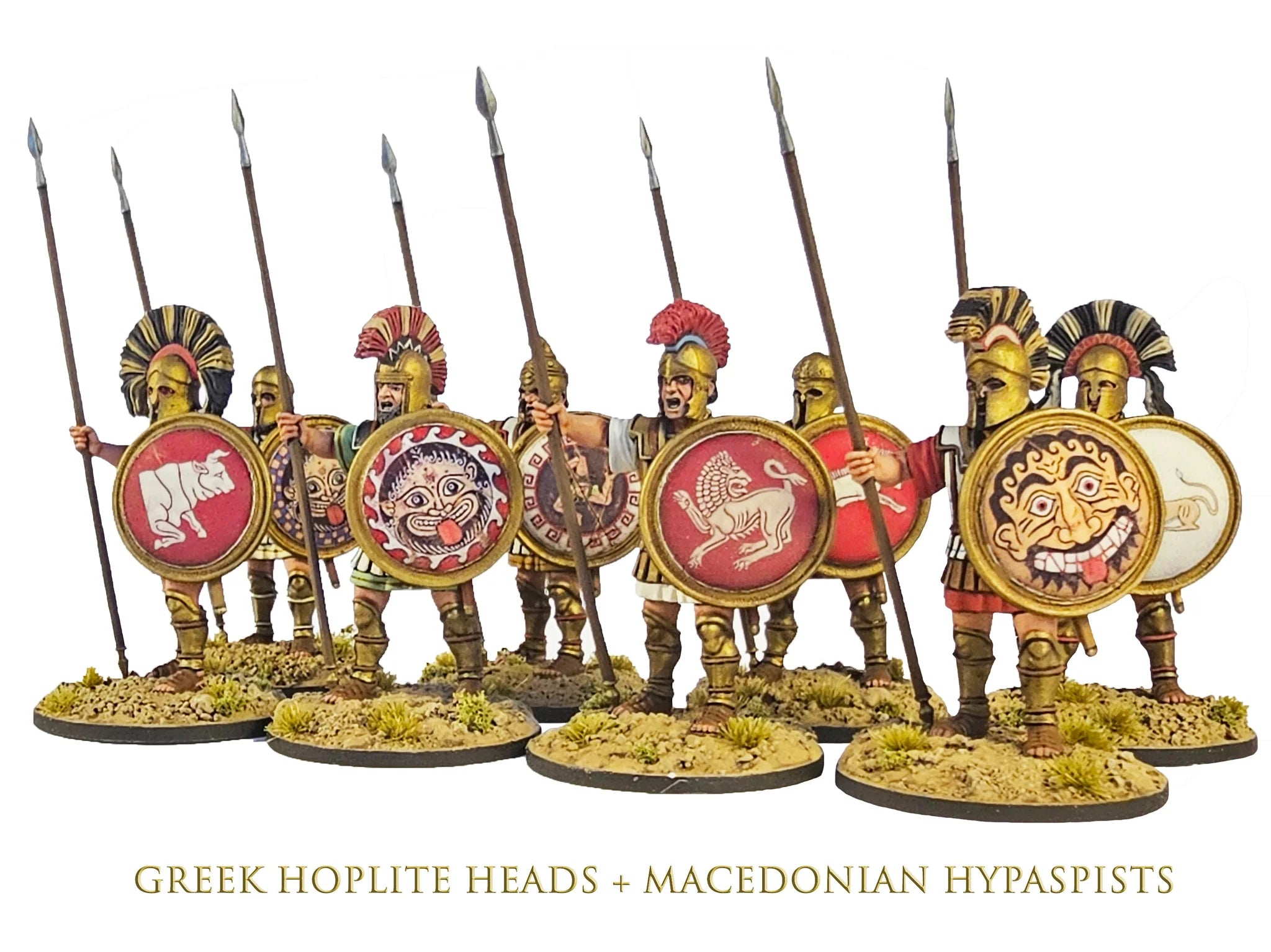 Greek Hoplite Heads x 56