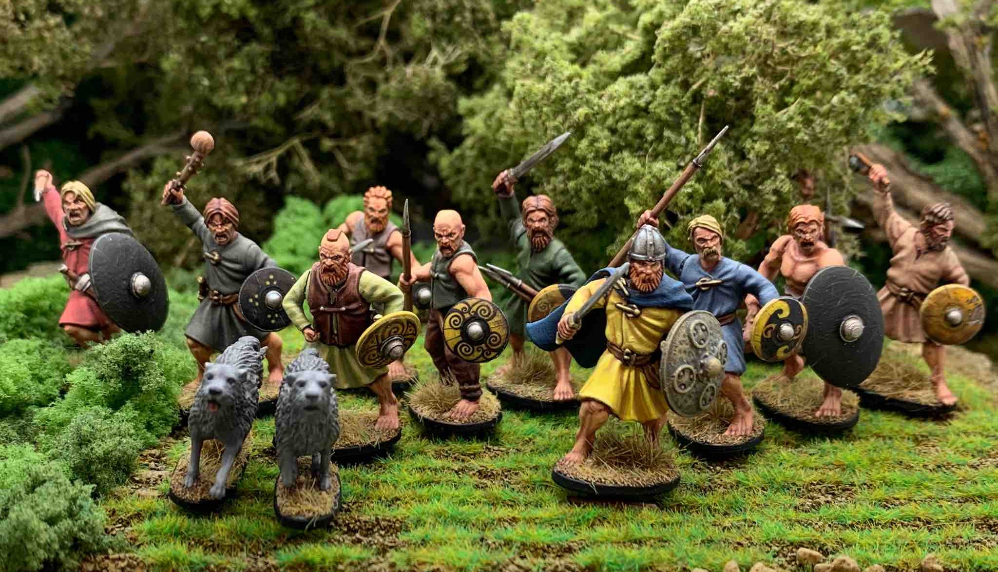 Dark Age Irish Warriors WAABO001