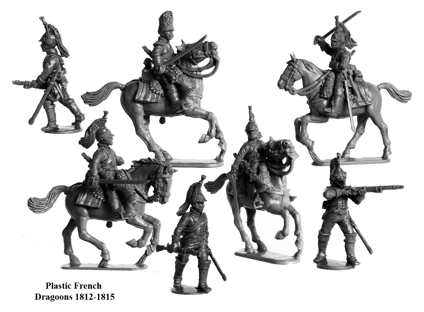 French Napoleonic Line Dragoons