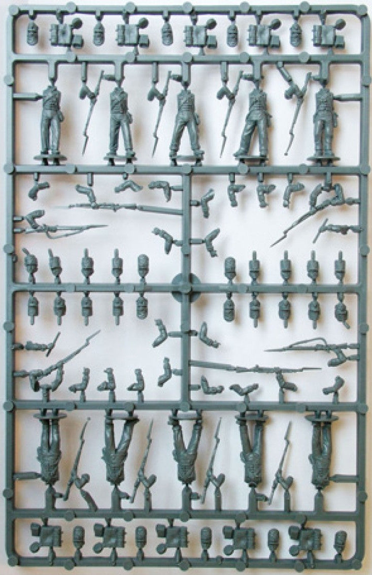 British Napoleonic Line Infantry Sprue BH1