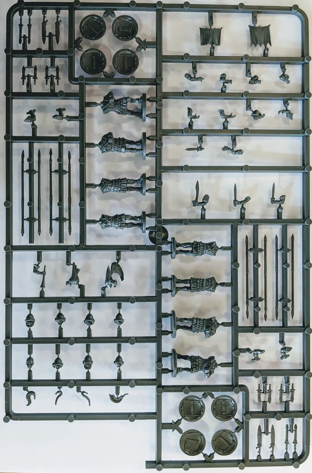 Theban Armored Hoplites Sprue VXA003